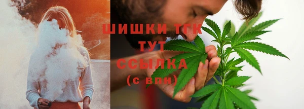 шишки Верхнеуральск