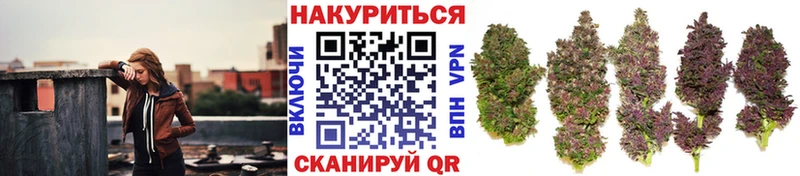 Шишки марихуана MAZAR  Рыбинск 